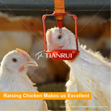 Tianrui Automatique Poulet Système de Volaille pour les poulets